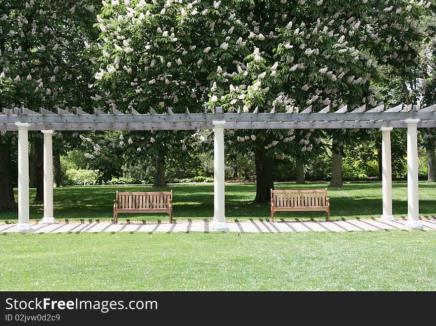 Two benches along path under pergola