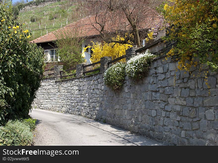 Rural house in Austria, spring, blooming shrubs, road and masonry