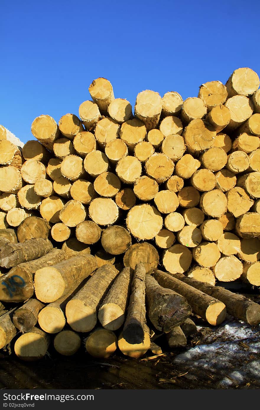 Pile of logs