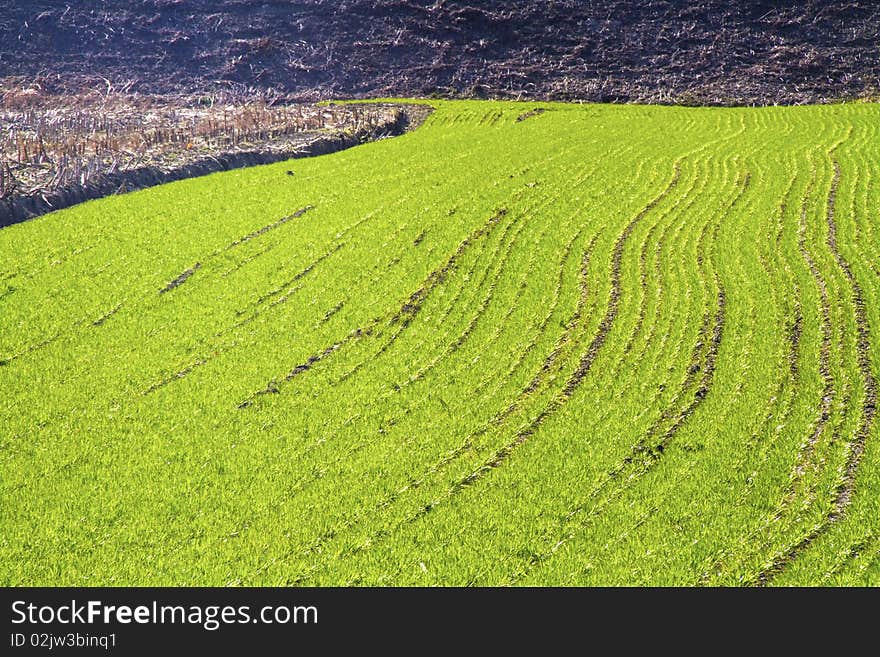 Campaign with meadows and cultivated fields