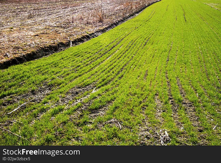 Campaign with meadows and cultivated fields