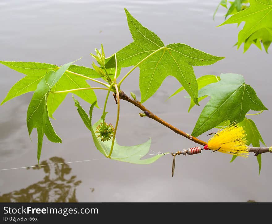 Spinner fishing lure stuck in branch of sweet gum tree during casting. Spinner fishing lure stuck in branch of sweet gum tree during casting.