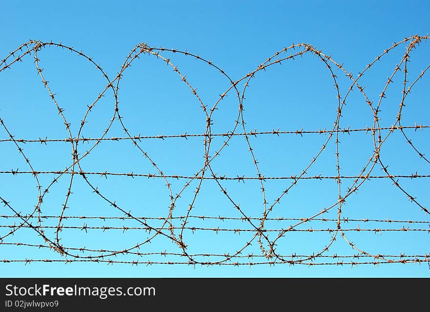 Fragment of barbed wires on blue sky background