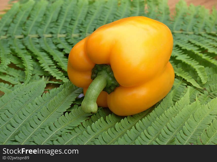 Appetizing bulgarian sweet pepper make you tender aromatic  flavor