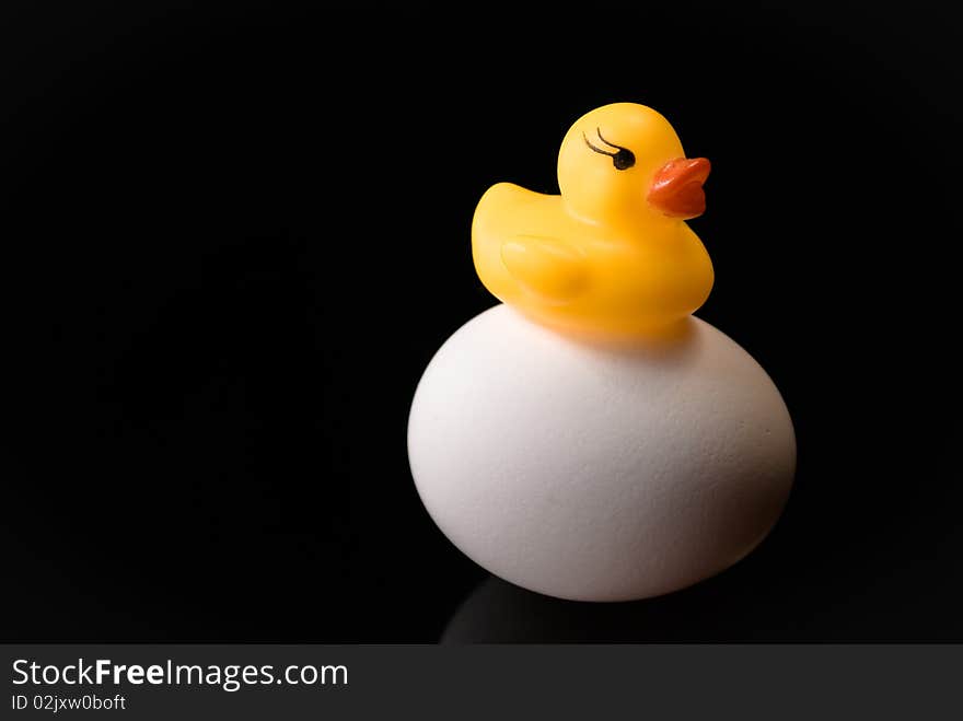 Little Yellow Rubber Ducky on a white egg twice it's size. Little Yellow Rubber Ducky on a white egg twice it's size.