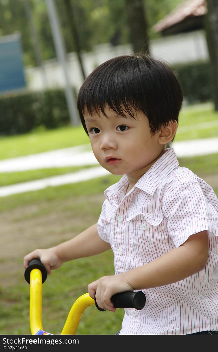 An Asian boy riding a tricycle in a park. An Asian boy riding a tricycle in a park