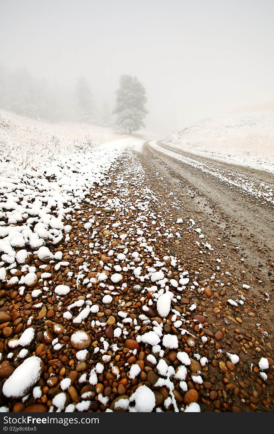 Ice fog in Cypress Hills Provincial Park of Saskatchewan