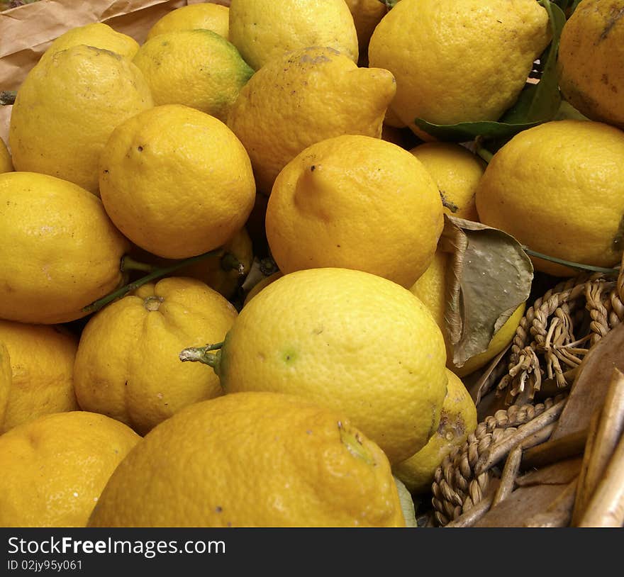 Big lemons at civic market in la spezia