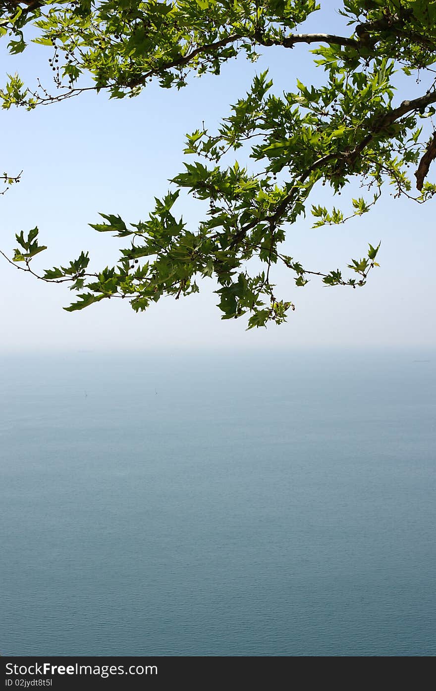 Bough of an oak tree at top of a hill with a wonderful panoramic view over the sea.

The lower part can be used as background for text. Bough of an oak tree at top of a hill with a wonderful panoramic view over the sea.

The lower part can be used as background for text.