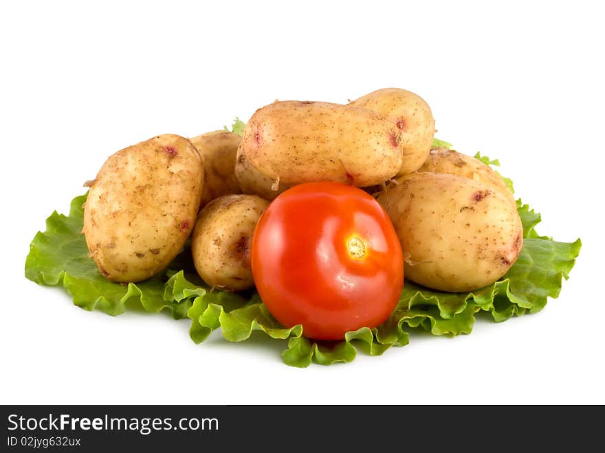 Fresh vegetables isolated on white background. Fresh vegetables isolated on white background