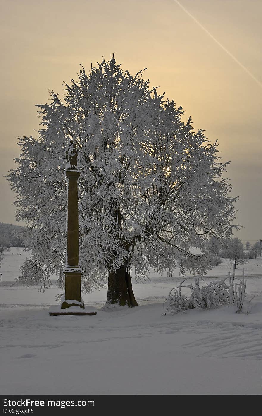 Monument and snowy tree at sunset. Monument and snowy tree at sunset