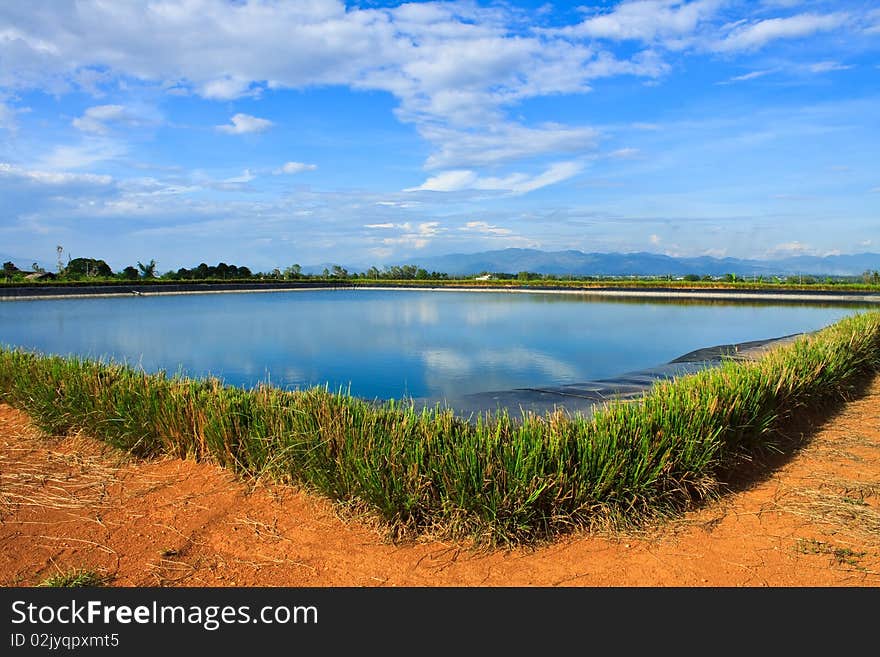 Pool in countryside