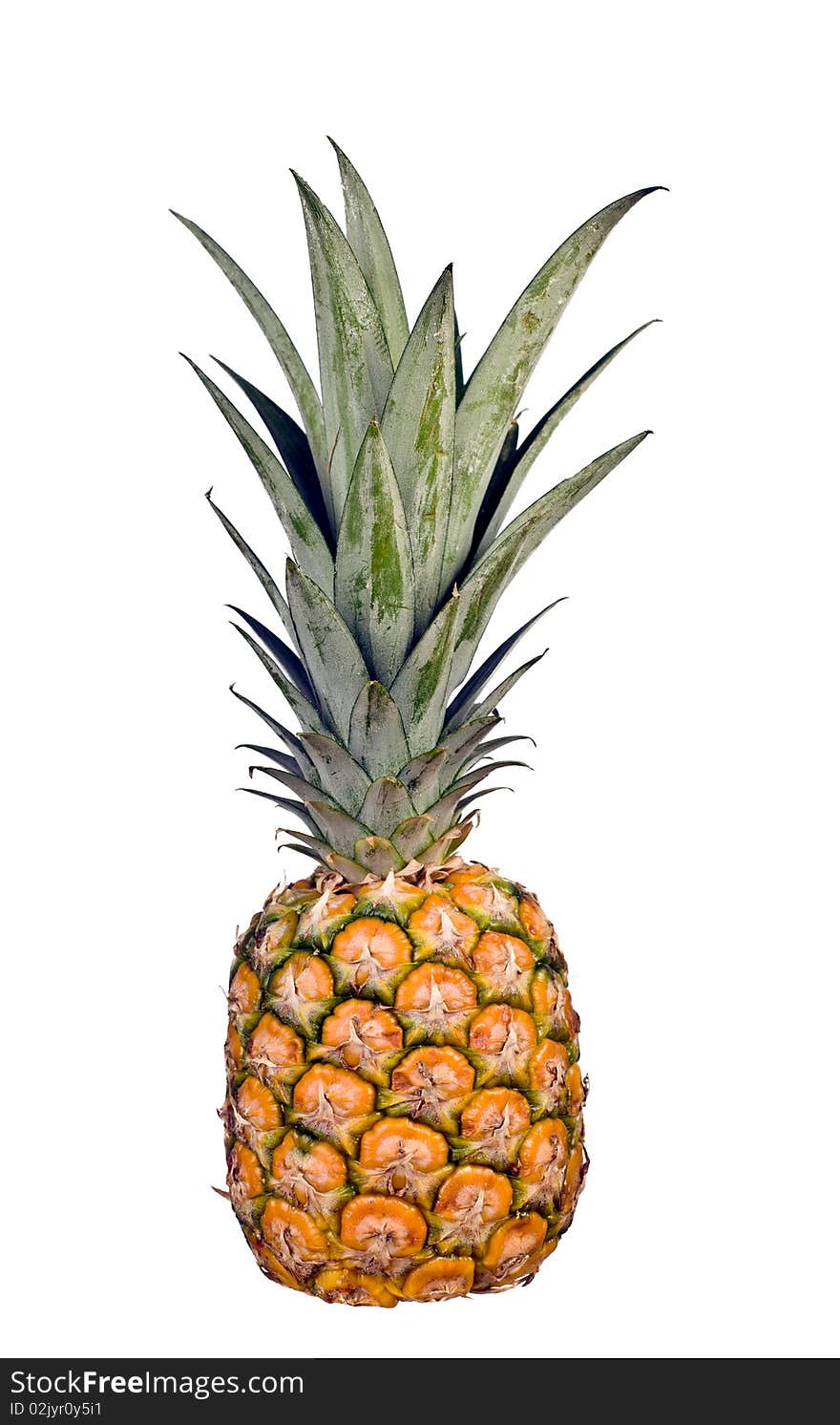 Pineapple