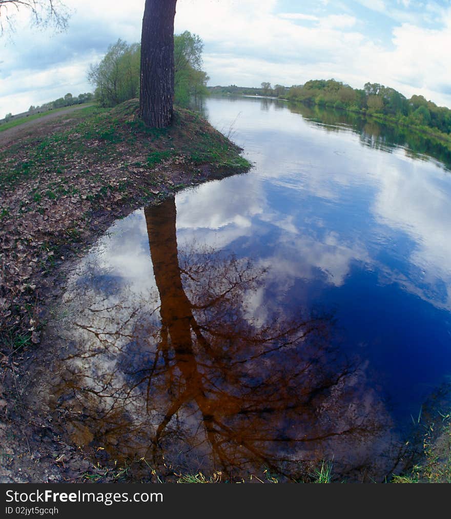 The blue sky and tree reflected in water. Desna river, Ukraine. The blue sky and tree reflected in water. Desna river, Ukraine.