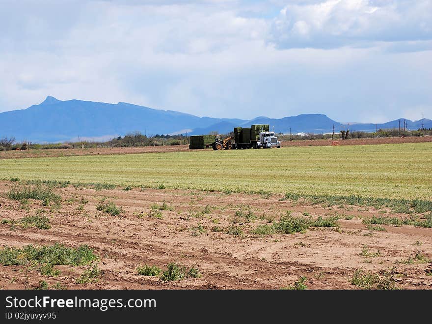 Hay being loaded