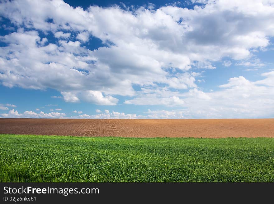 Green Wheat Field, Brown Soil And Blue Sky