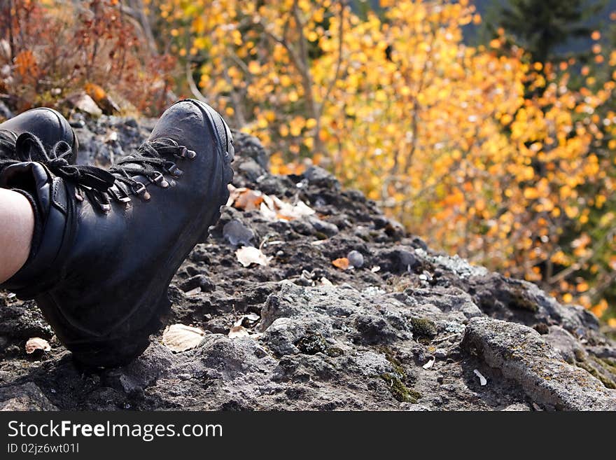 Climbing boots