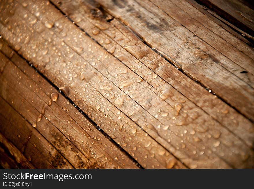 Drops of rain rolling off of a log. Drops of rain rolling off of a log.