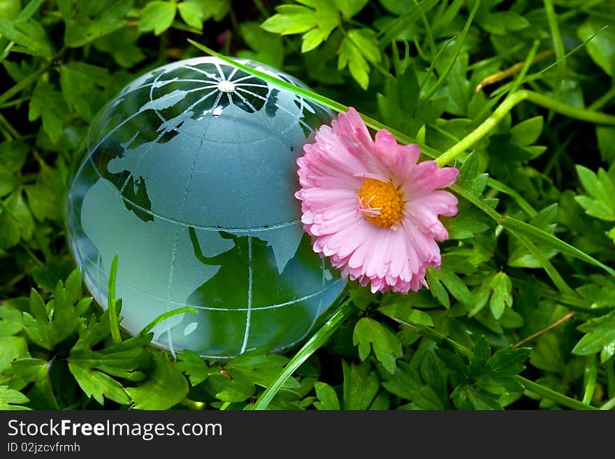 Globe on green grass with daisy