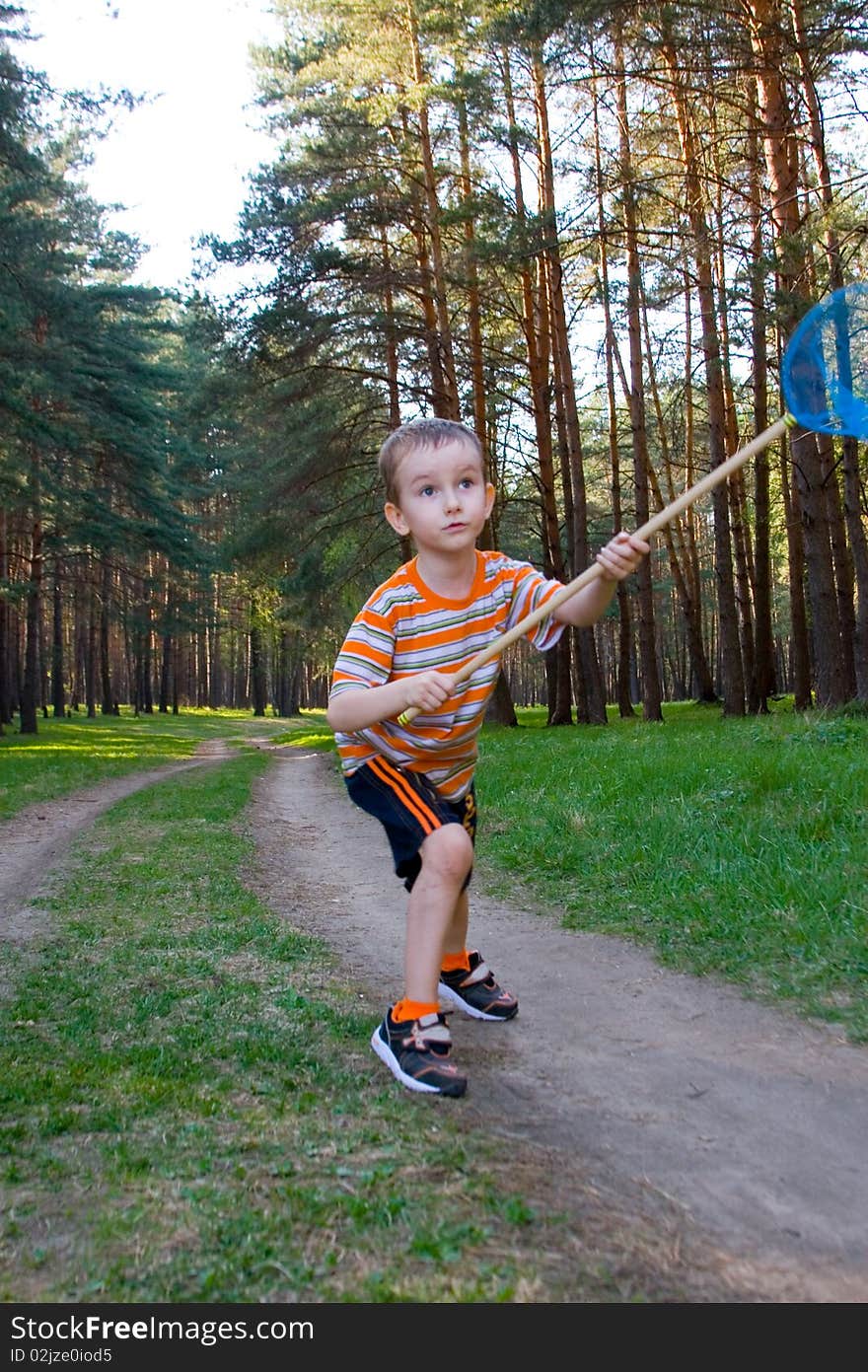 Boy catches a butterfly in a pine forest on a summer day