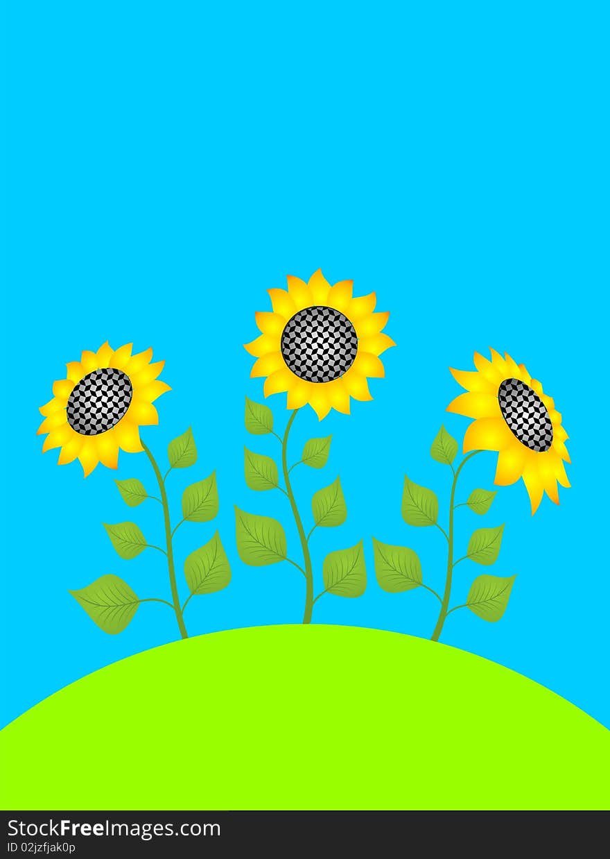 Sunflowers