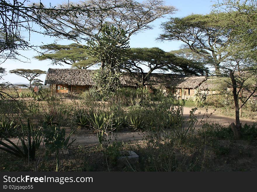 Africa Tanzania, view of the lodge in the bush. Africa Tanzania, view of the lodge in the bush