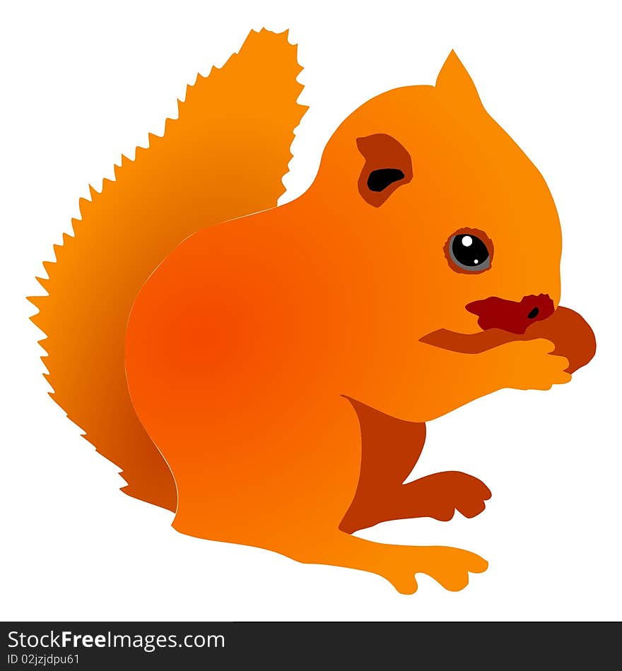 Vector colored illustration of squirrel cub