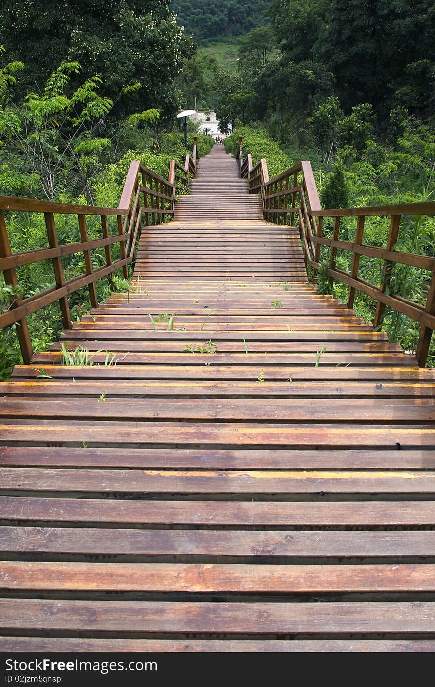 Long wood staircase downward outdoor