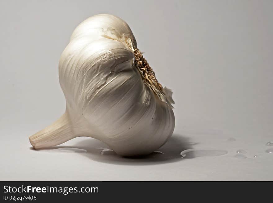 Garlic on white background