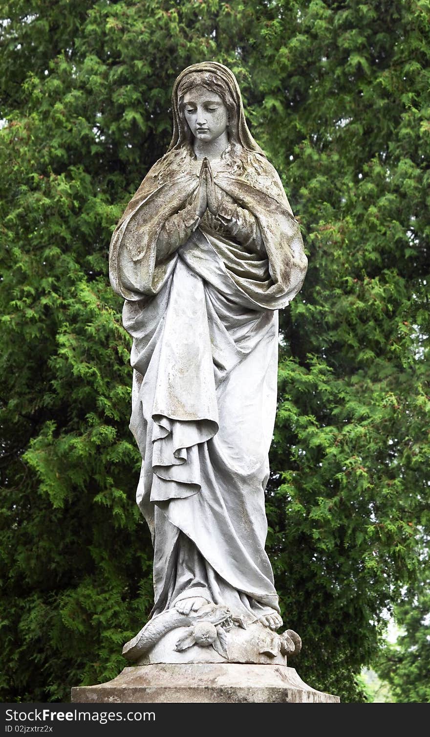 Statue of the Virgin Mary in the garden