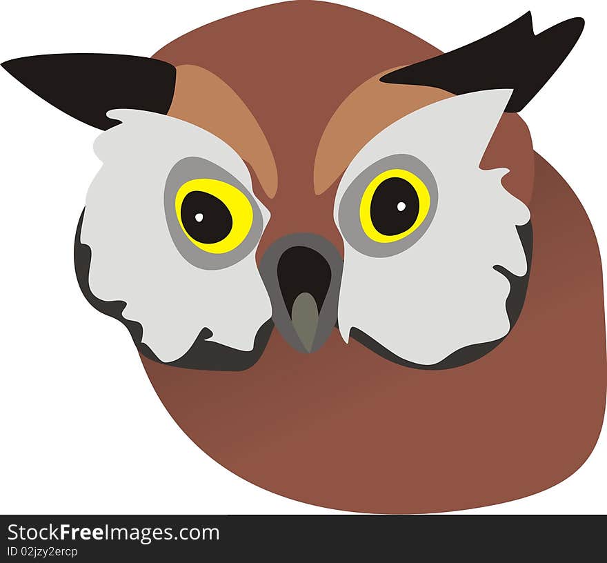 Head of an owl. A vector illustration