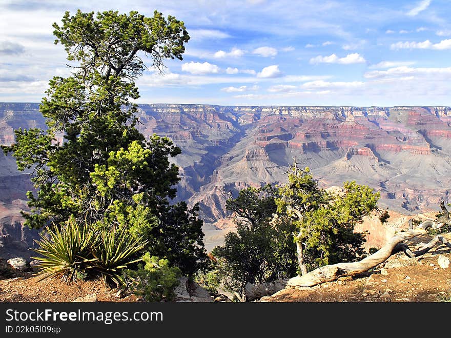 Great Colorado Canyon