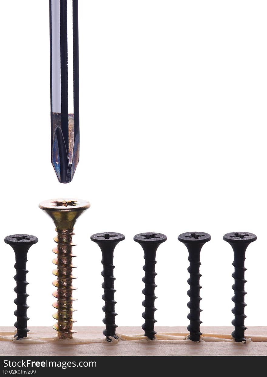 Close up of screwdriver and screw on white background