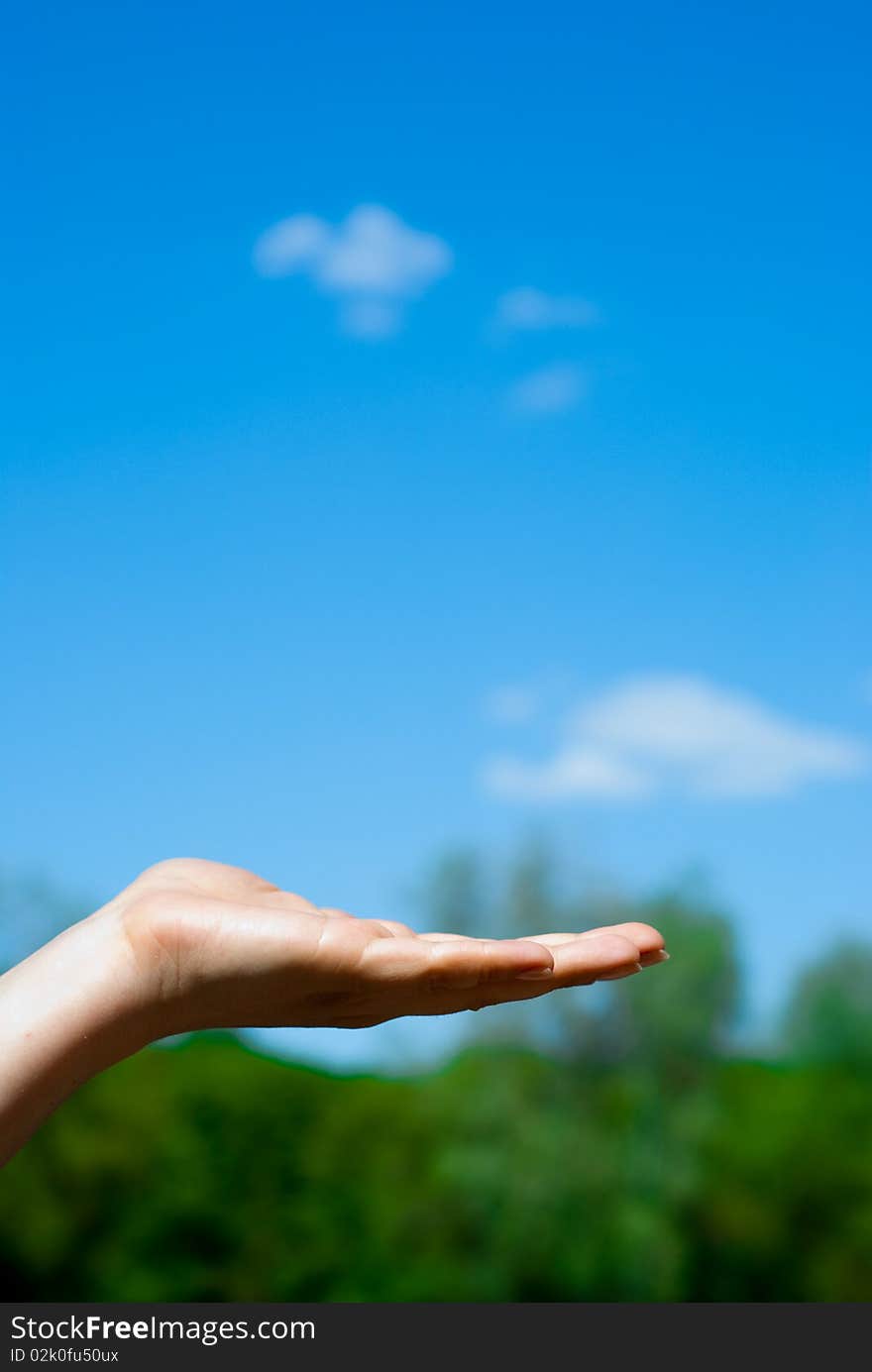 Hand against the blue sky. Hand against the blue sky