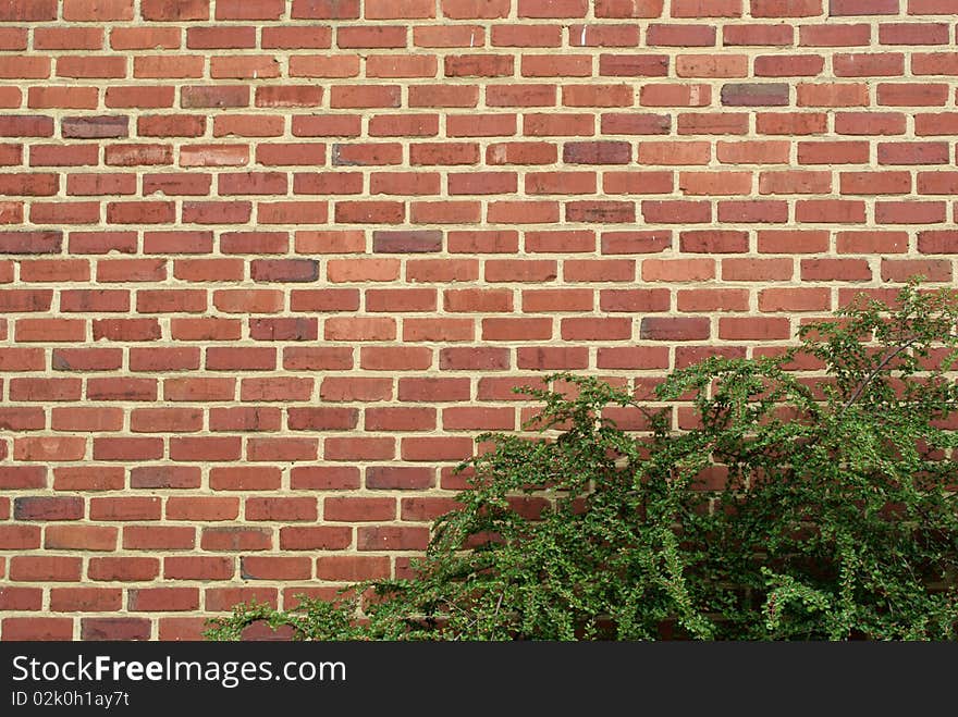 A particular of a wall with bricks in belgique. A particular of a wall with bricks in belgique