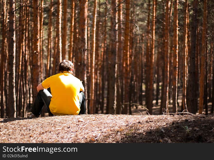 Man In Pine Forest