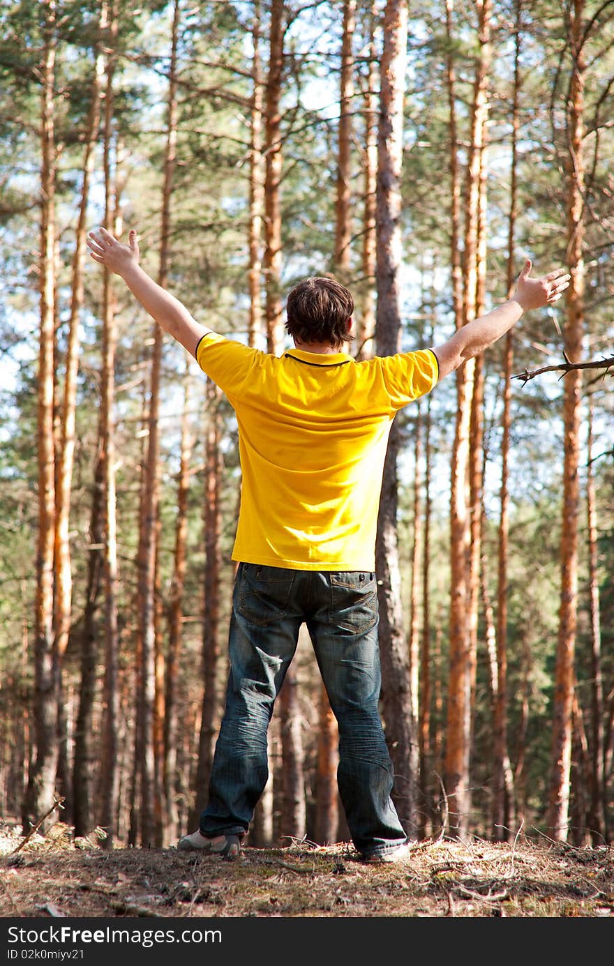 Man in the pine forest