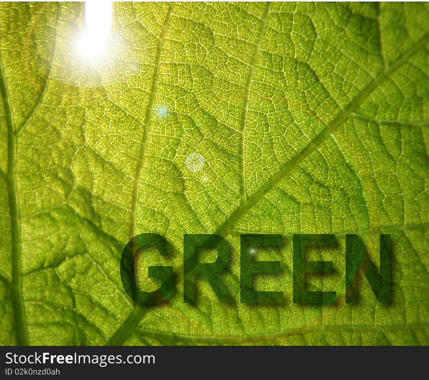 Green inscription on background of the green sheet with solar glare