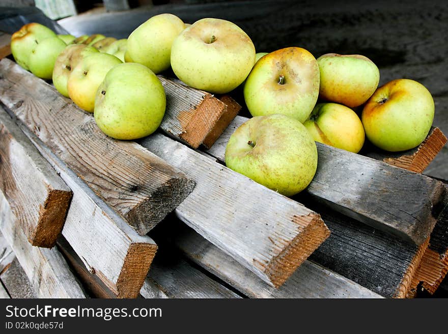 An image of a group of juicy green apples. An image of a group of juicy green apples