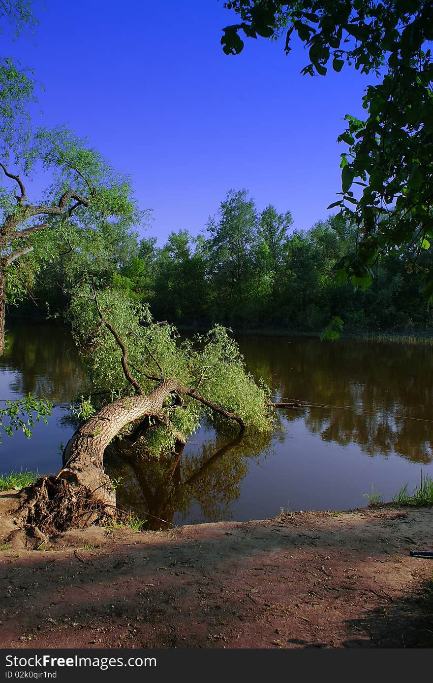 Colourful landscape on a background blue sky