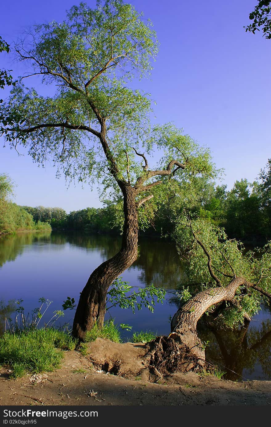 Colourful landscape on a background blue sky