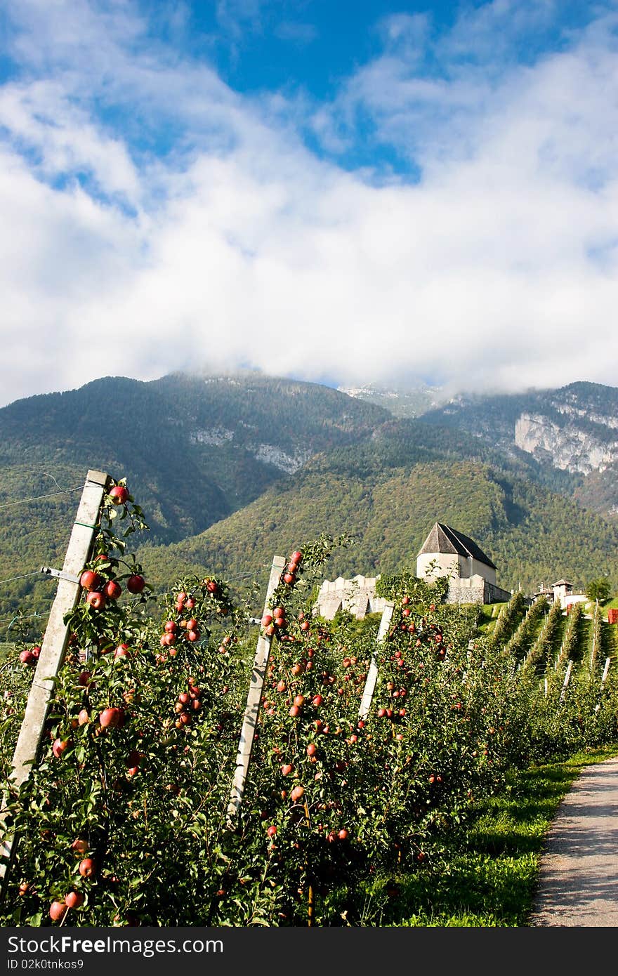 An image of orchard in the mountains and sky