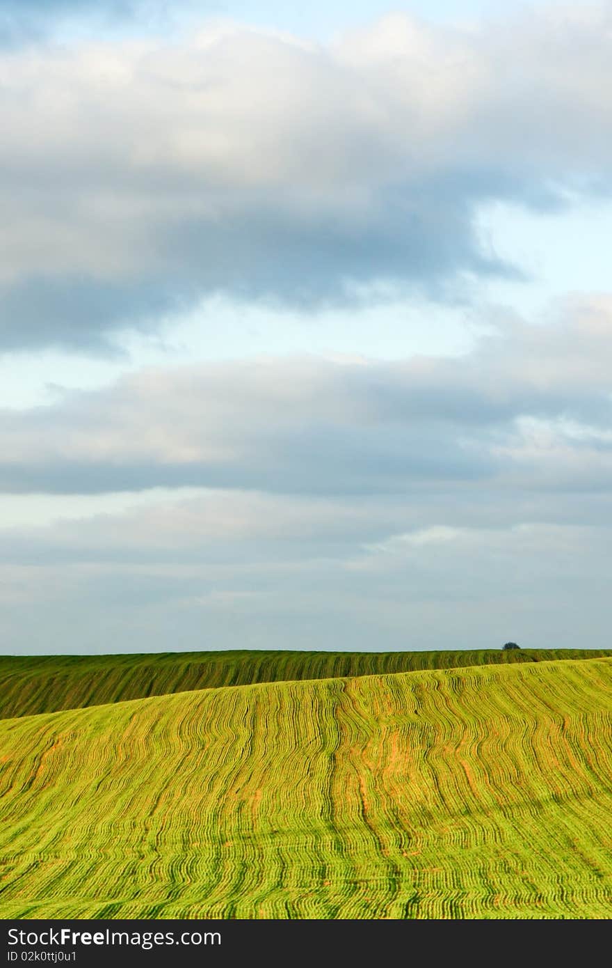 Field and sky