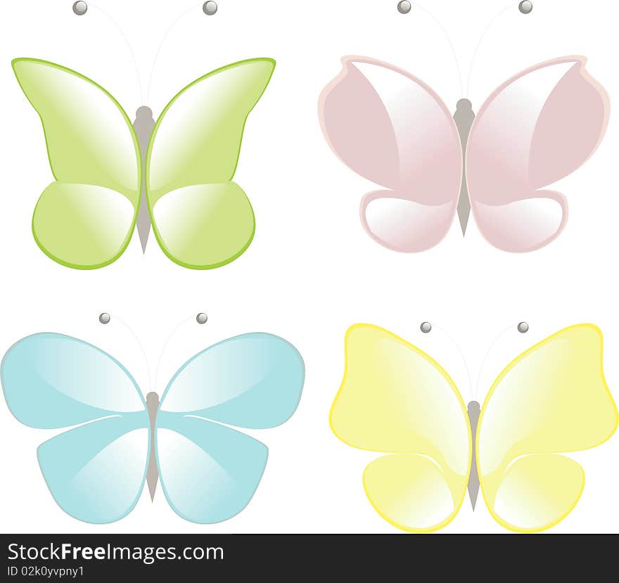 Four butterflies  illustration on white background.
