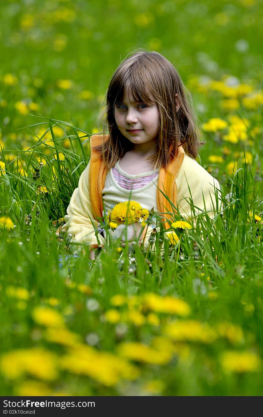 Little girl in the flowering field