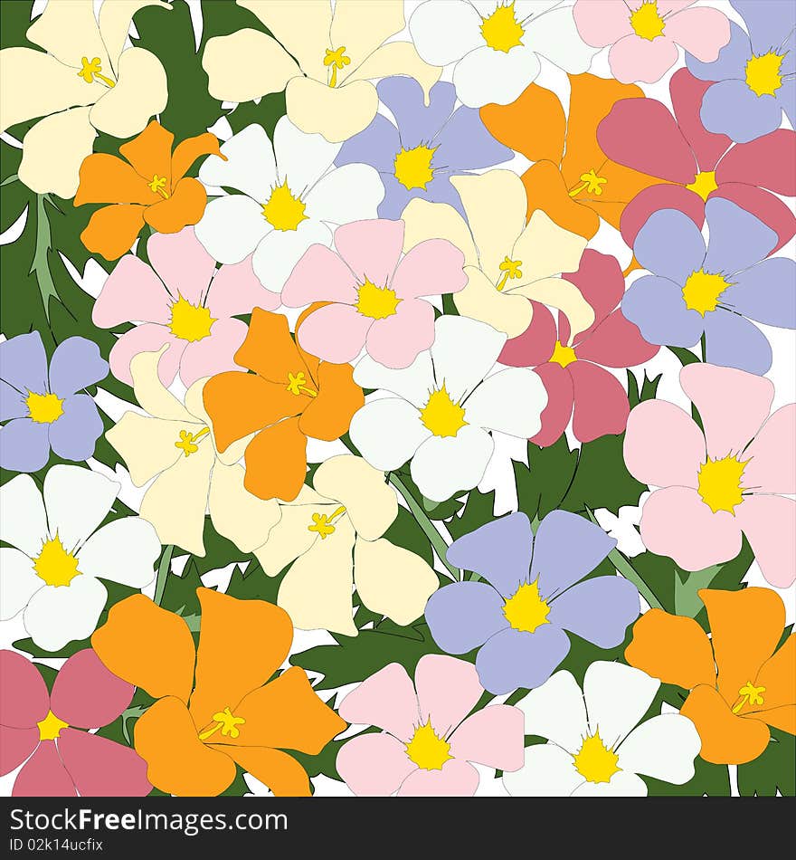 Beautiful background from multi-coloured florets