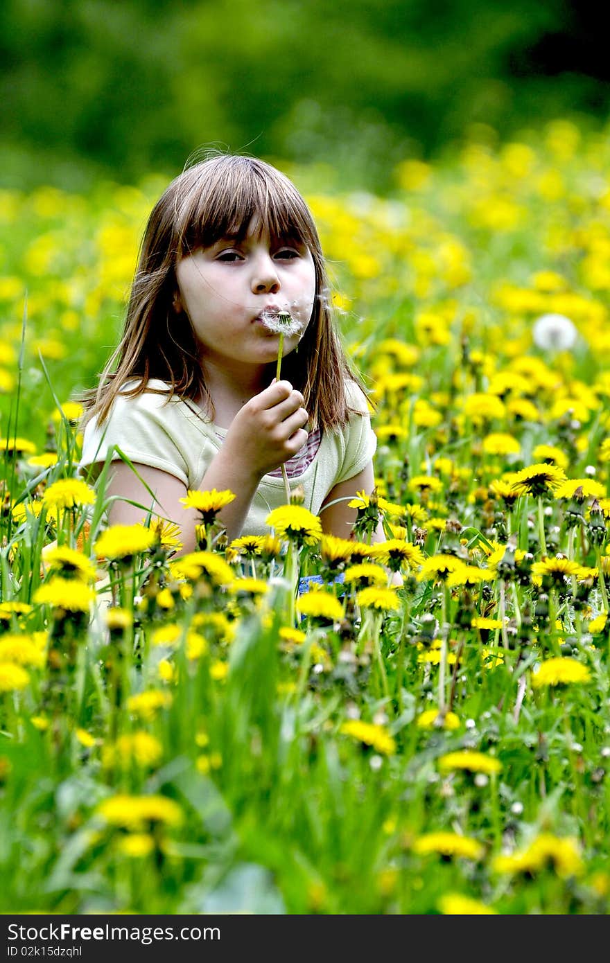 Little girl in the flowering field