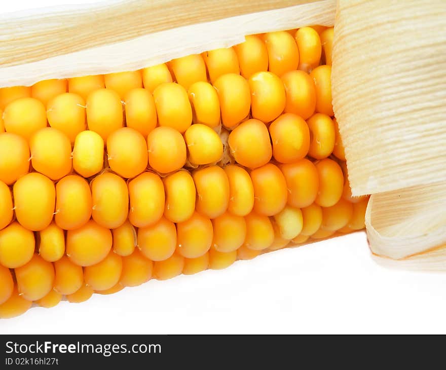 Detail of a corn on white background