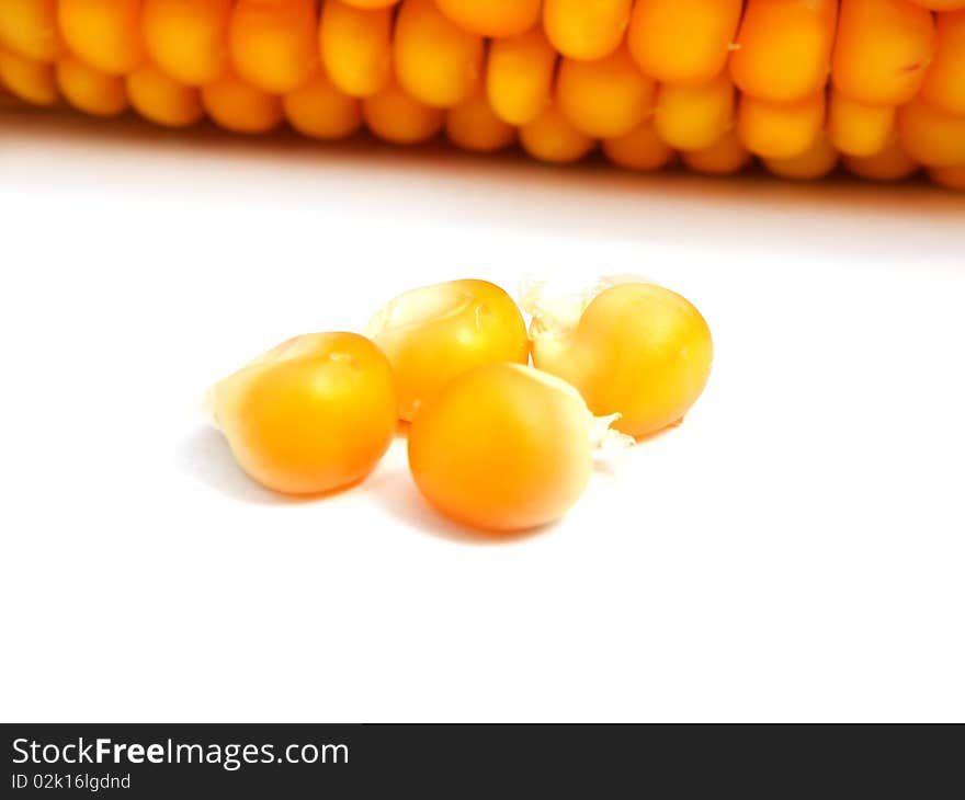 Detail of a corn on white background