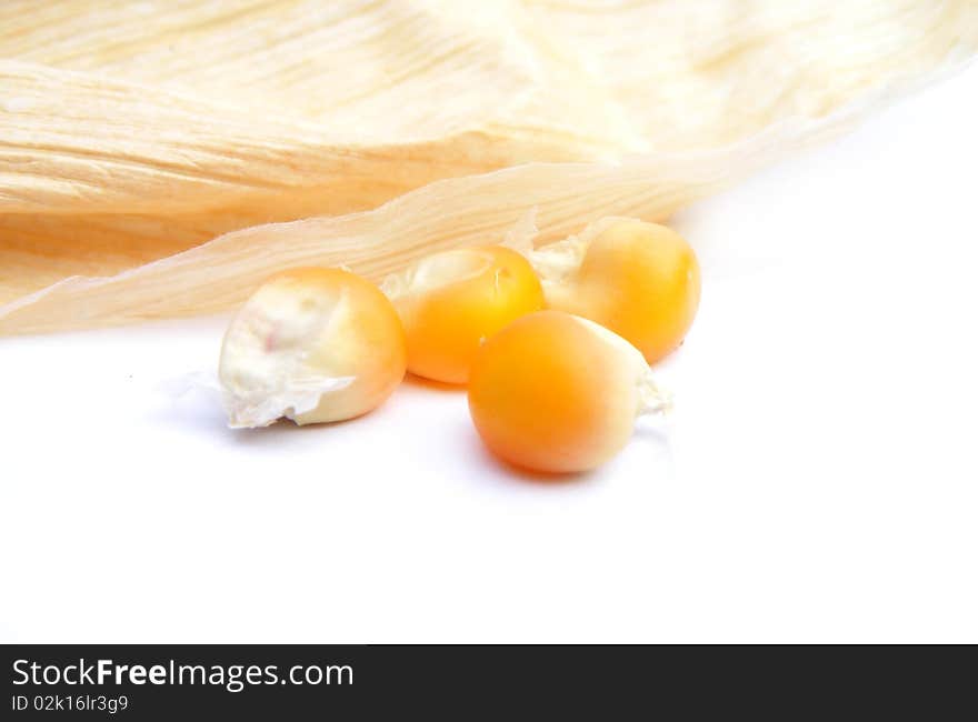 Detail of a corn on white background